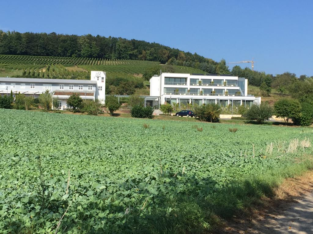 Heitlinger Hof Hotel Tiefenbach  Buitenkant foto